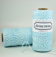 Aqua Divine Twine